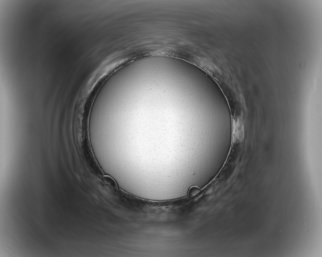 X0000086760291200704271736