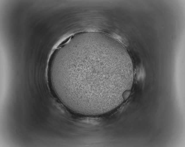 X0000086760292200704271736