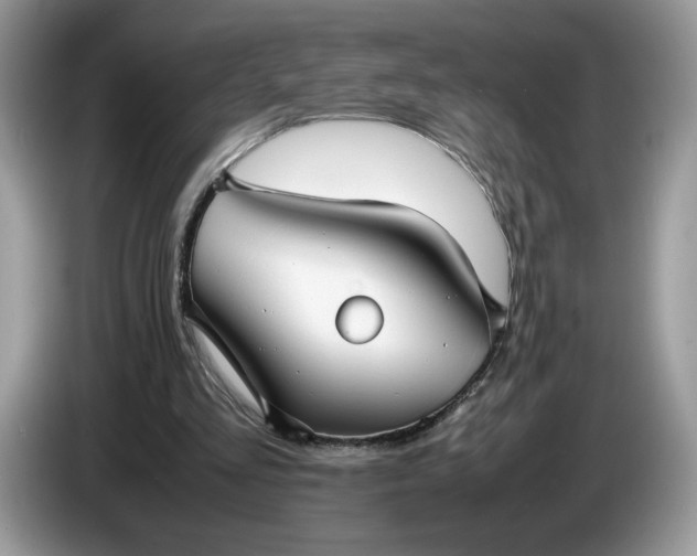 X0000086760293200704271736