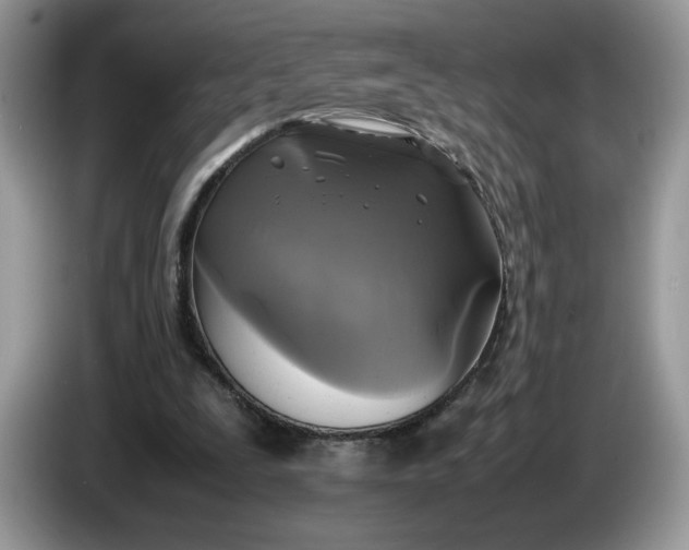 X0000086760295200704271736