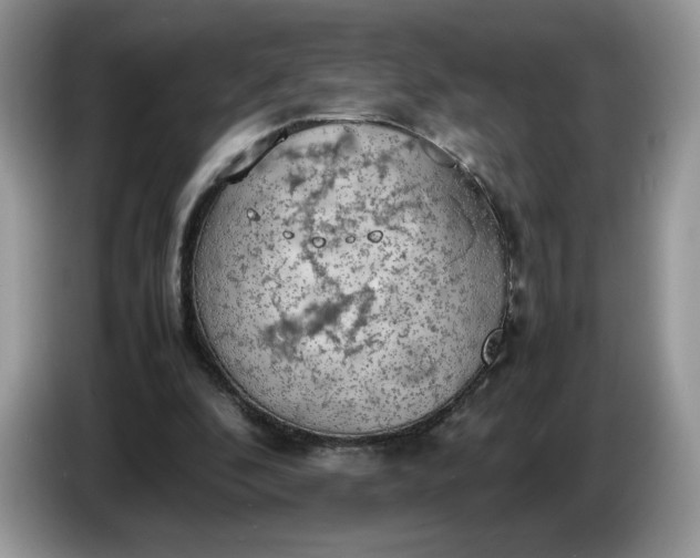 X0000086760296200704271735