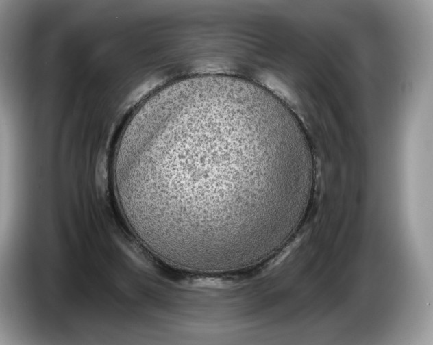 X0000086760298200704271735