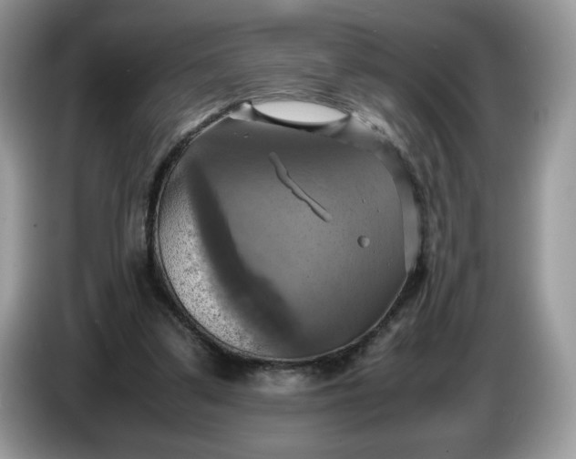 X0000086760299200704271735