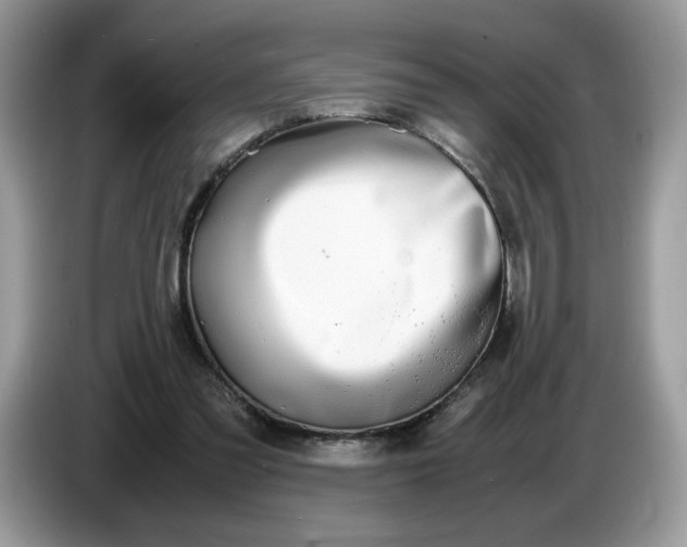 X0000086760301200704271735