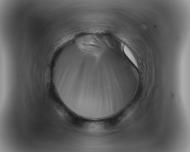 X0000086760303200704271735