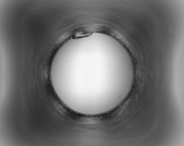 X0000086760305200704271735