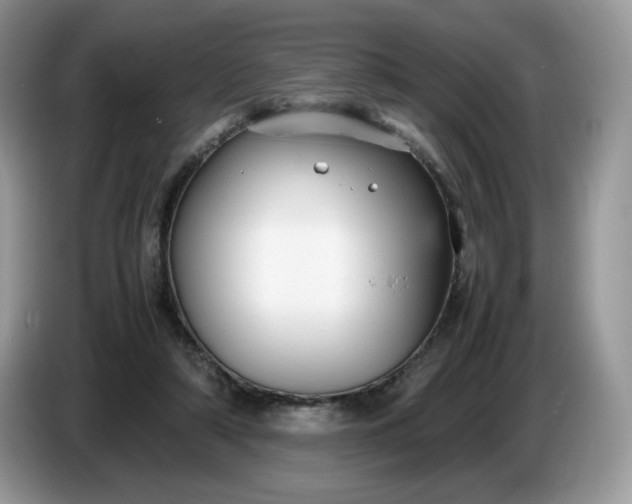 X0000086760306200704271735