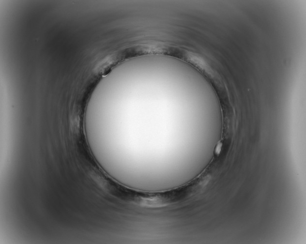 X0000086760309200704271735