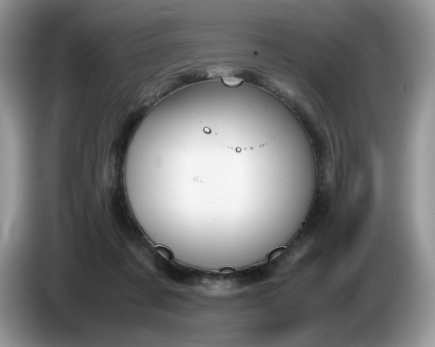 X0000086760311200704271735