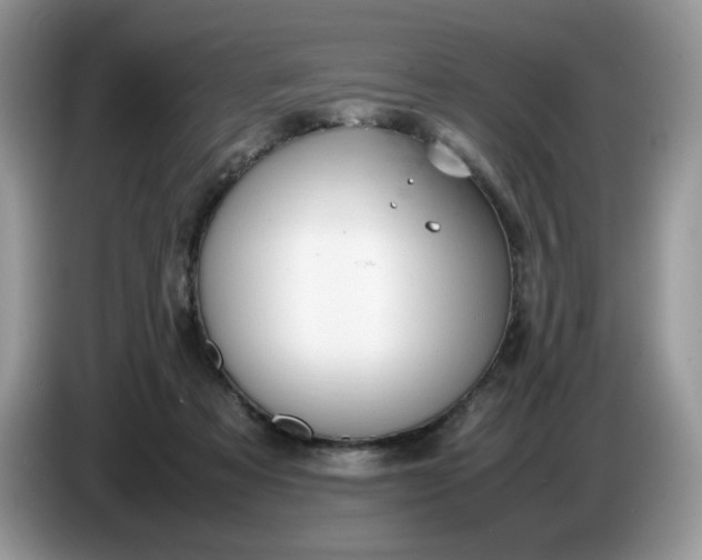 X0000086760313200704271735