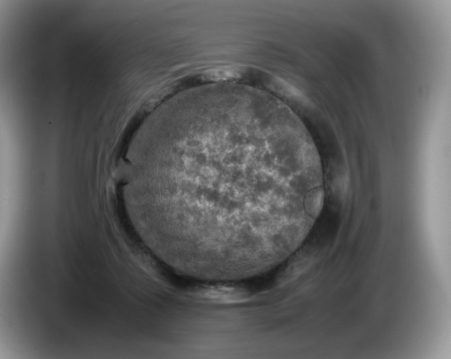 X0000086760315200704271735