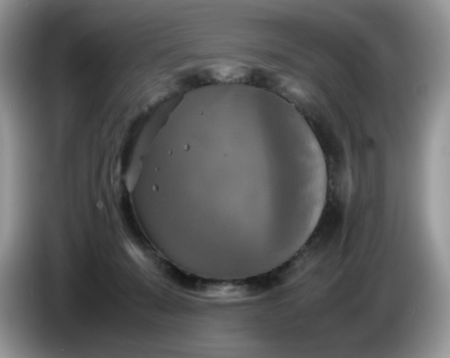 X0000086760319200704271735