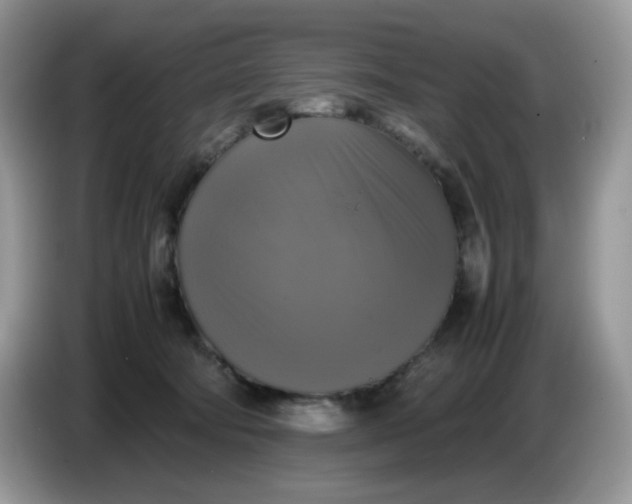 X0000086760322200704271735