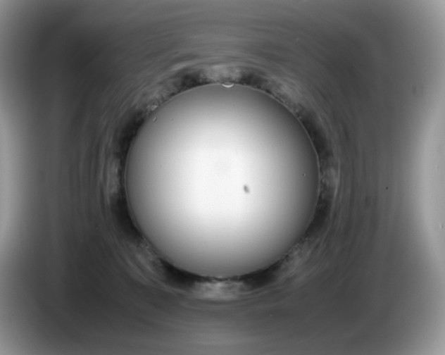 X0000086760323200704271735