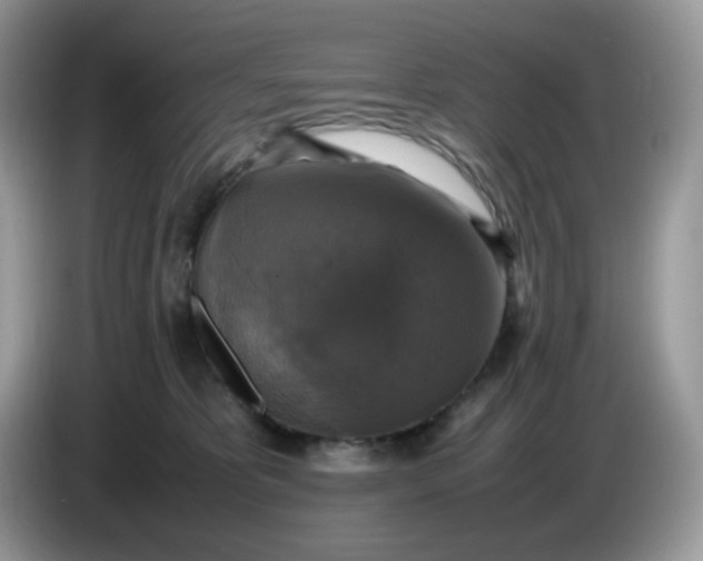 X0000086760325200704271735