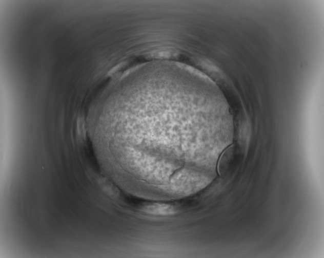 X0000086760326200704271735