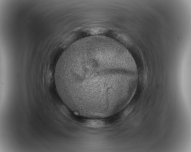 X0000086760327200704271735