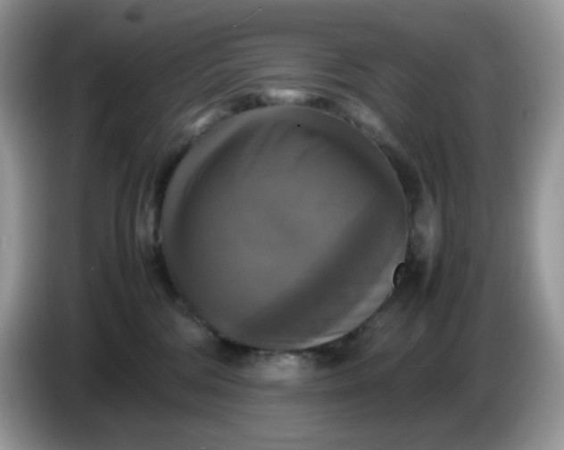 X0000086760330200704271735