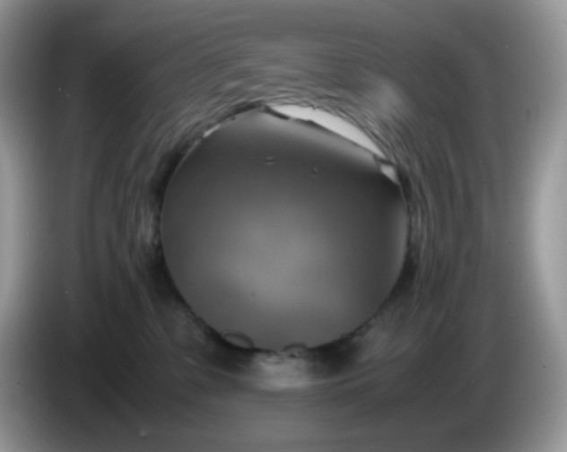 X0000086760331200704271735