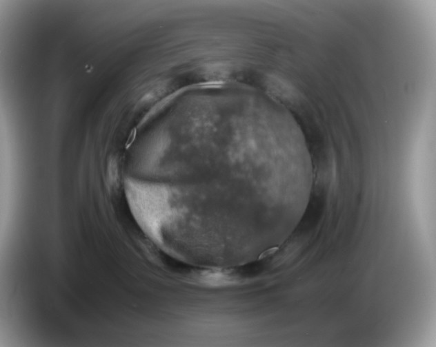 X0000086760335200704271735