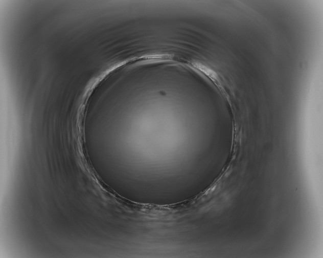 X0000086760337200704271734