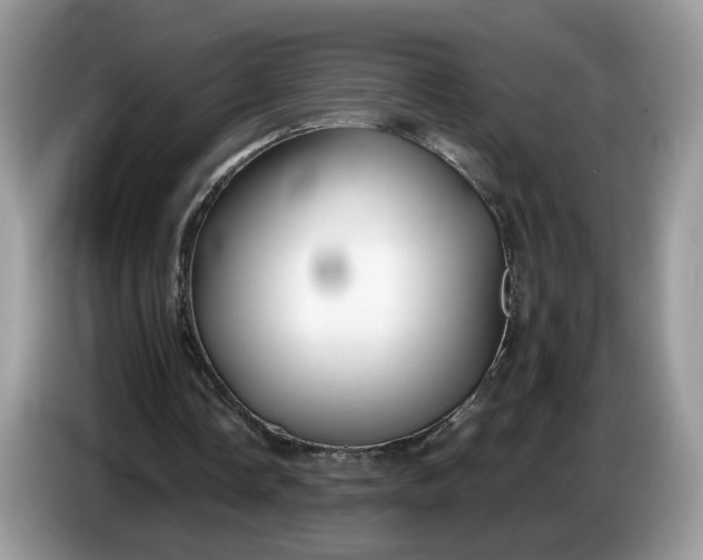 X0000086760338200704271734