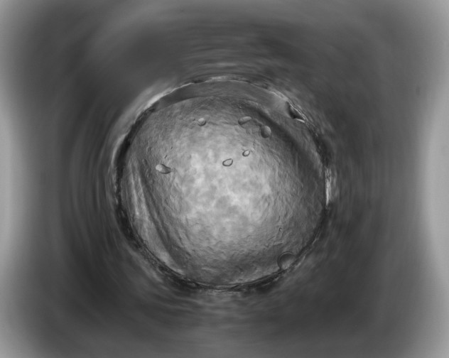 X0000086760339200704271734