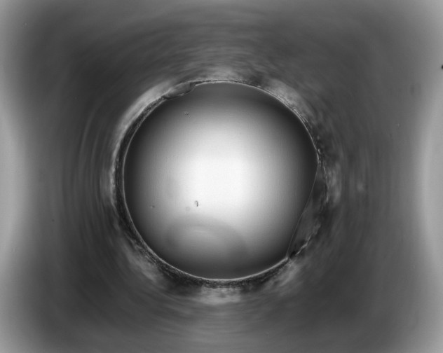 X0000086760340200704271734