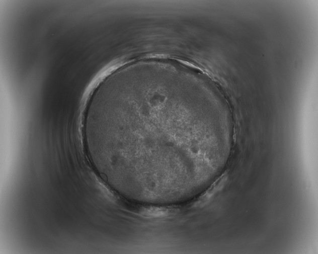 X0000086760341200704271734