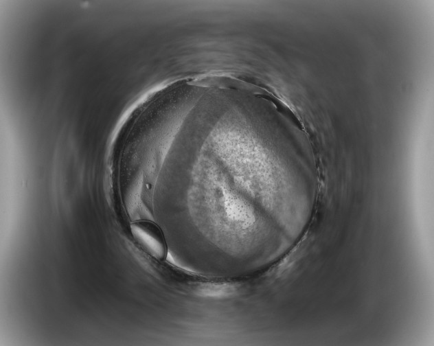 X0000086760342200704271734