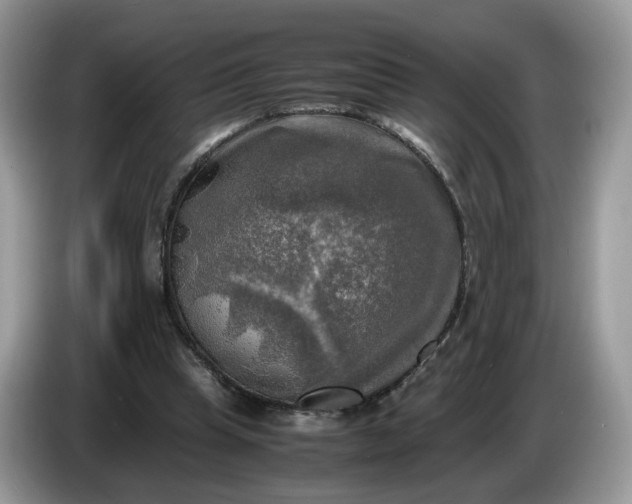 X0000086760345200704271734