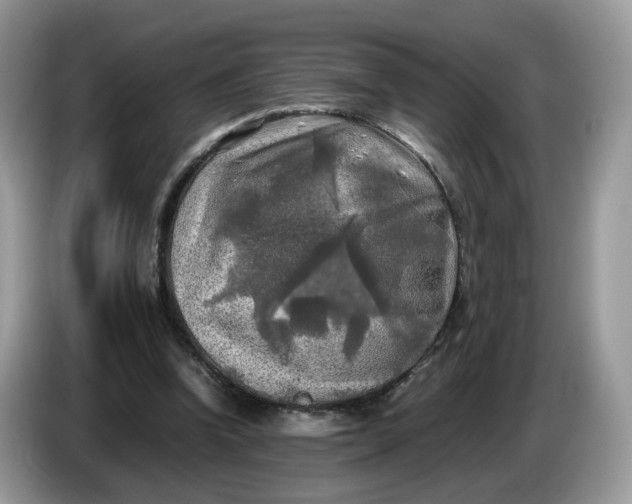 X0000086760346200704271734