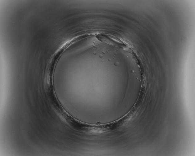 X0000086760347200704271734