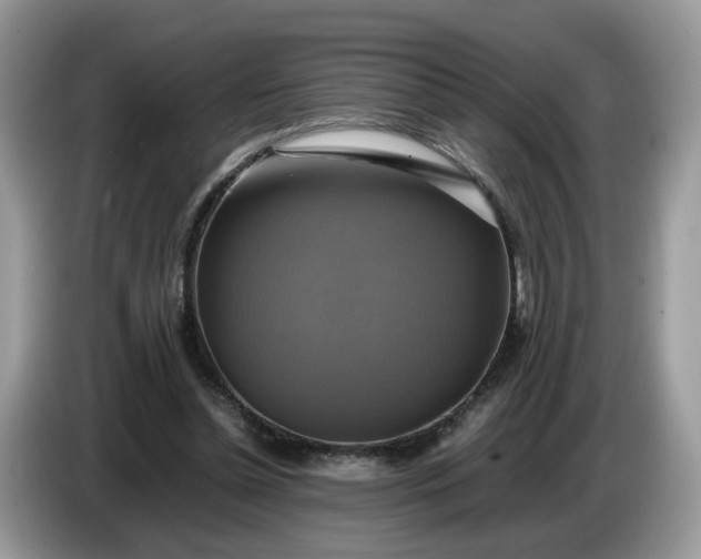 X0000086760348200704271735