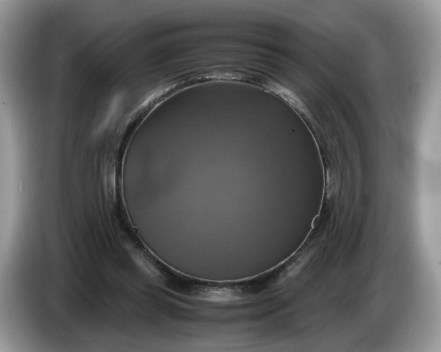 X0000086760349200704271735