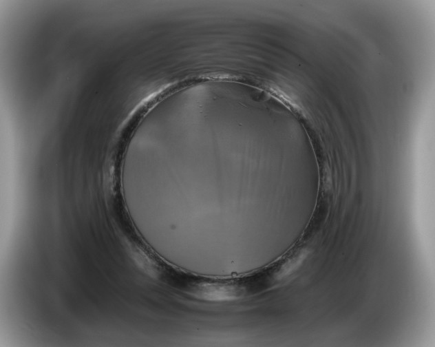 X0000086760351200704271735