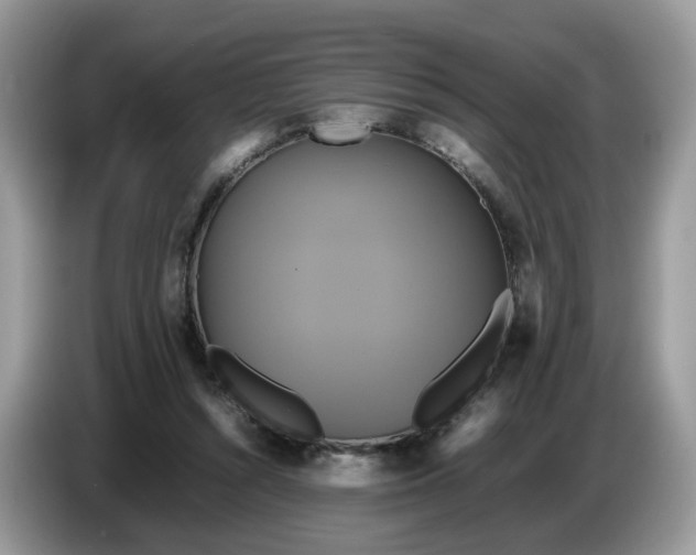 X0000086760352200704271735