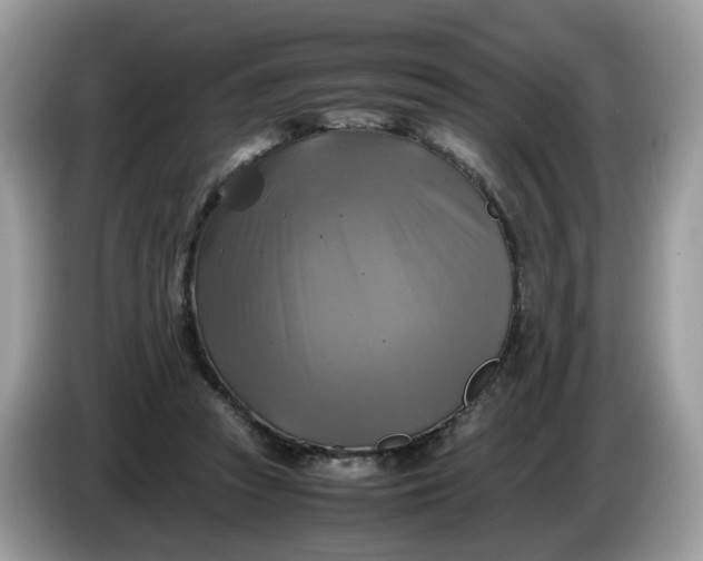 X0000086760353200704271735