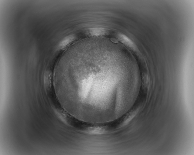 X0000086760356200704271735