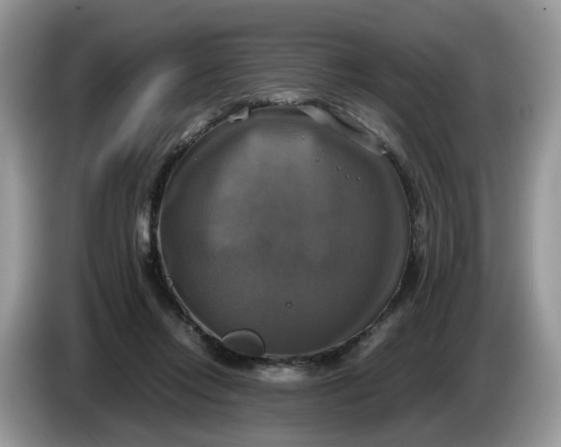 X0000086760358200704271735