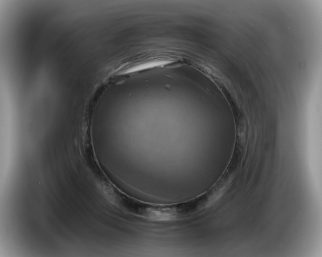 X0000086760359200704271735