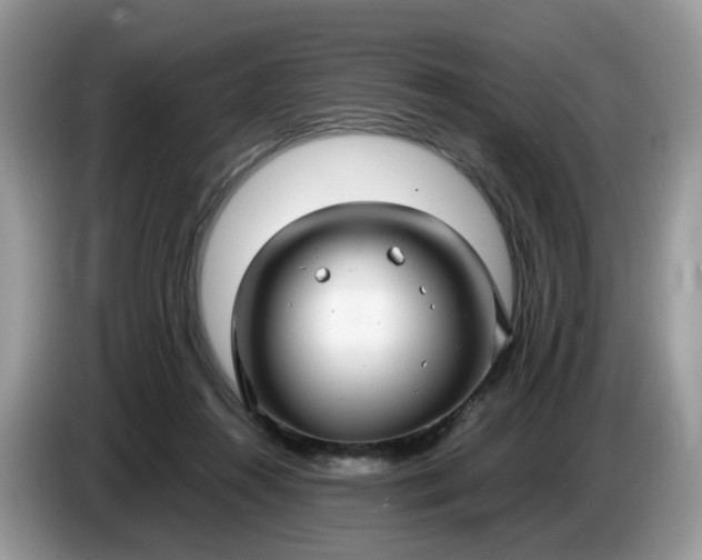 X0000086760360200704271735