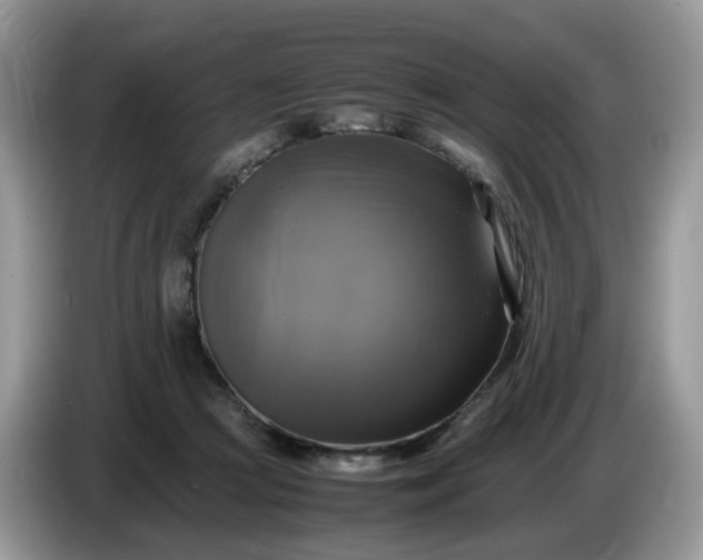 X0000086760361200704271735