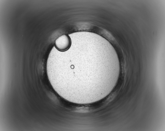 X0000086760362200704271735