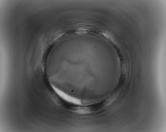 X0000086760363200704271735