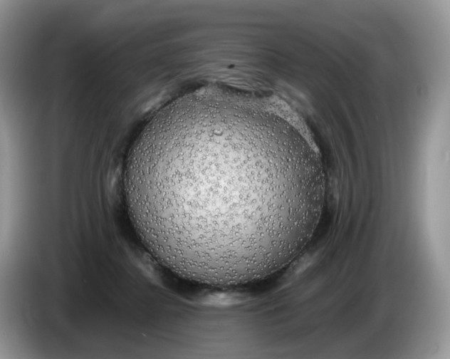 X0000086760364200704271735