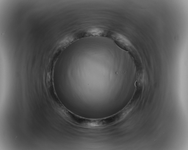 X0000086760365200704271735