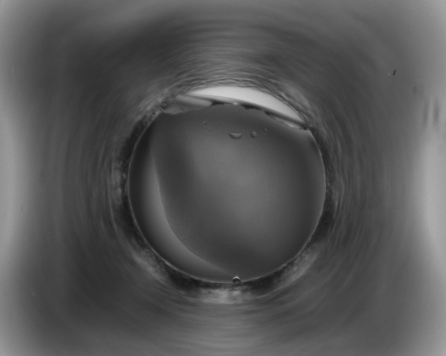 X0000086760366200704271735