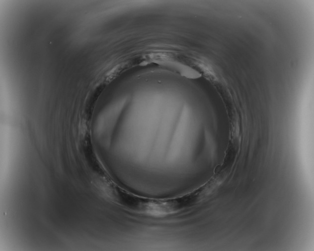 X0000086760367200704271735