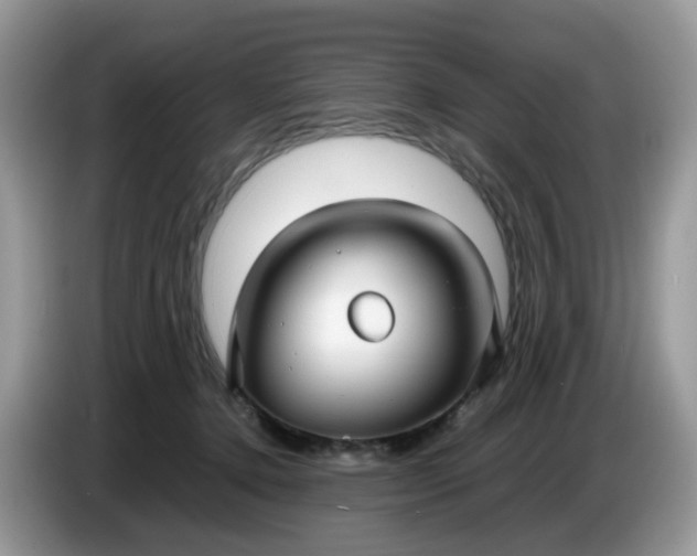 X0000086760368200704271735